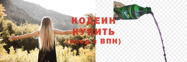 хмурый Белокуриха
