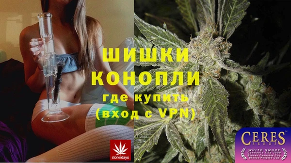 PSILOCYBIN Медногорск