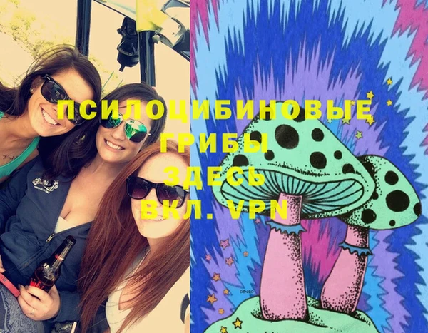 PSILOCYBIN Медногорск