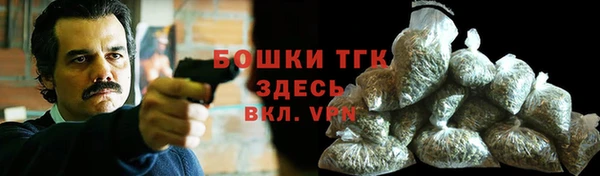 2c-b Мегион