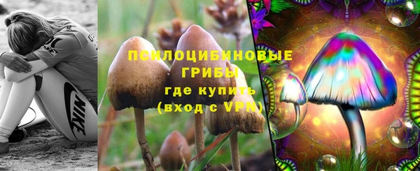 PSILOCYBIN Медногорск