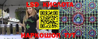 индика Гагарин