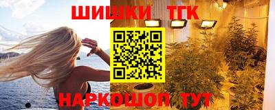 индика Гагарин