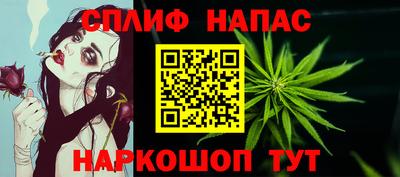 индика Гагарин