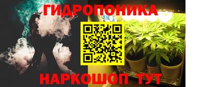 тгк Гай