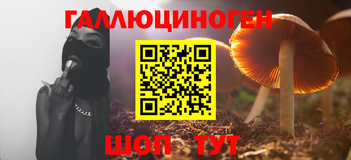 Галлюциногенные грибы мицелий Каменск-Уральский